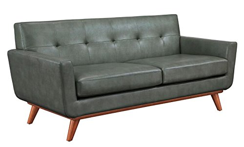 TOV Furniture The Lyon Collection Contemporary Style Eco-Leather Upholstered Living Room Loveseat, Smoke Grey