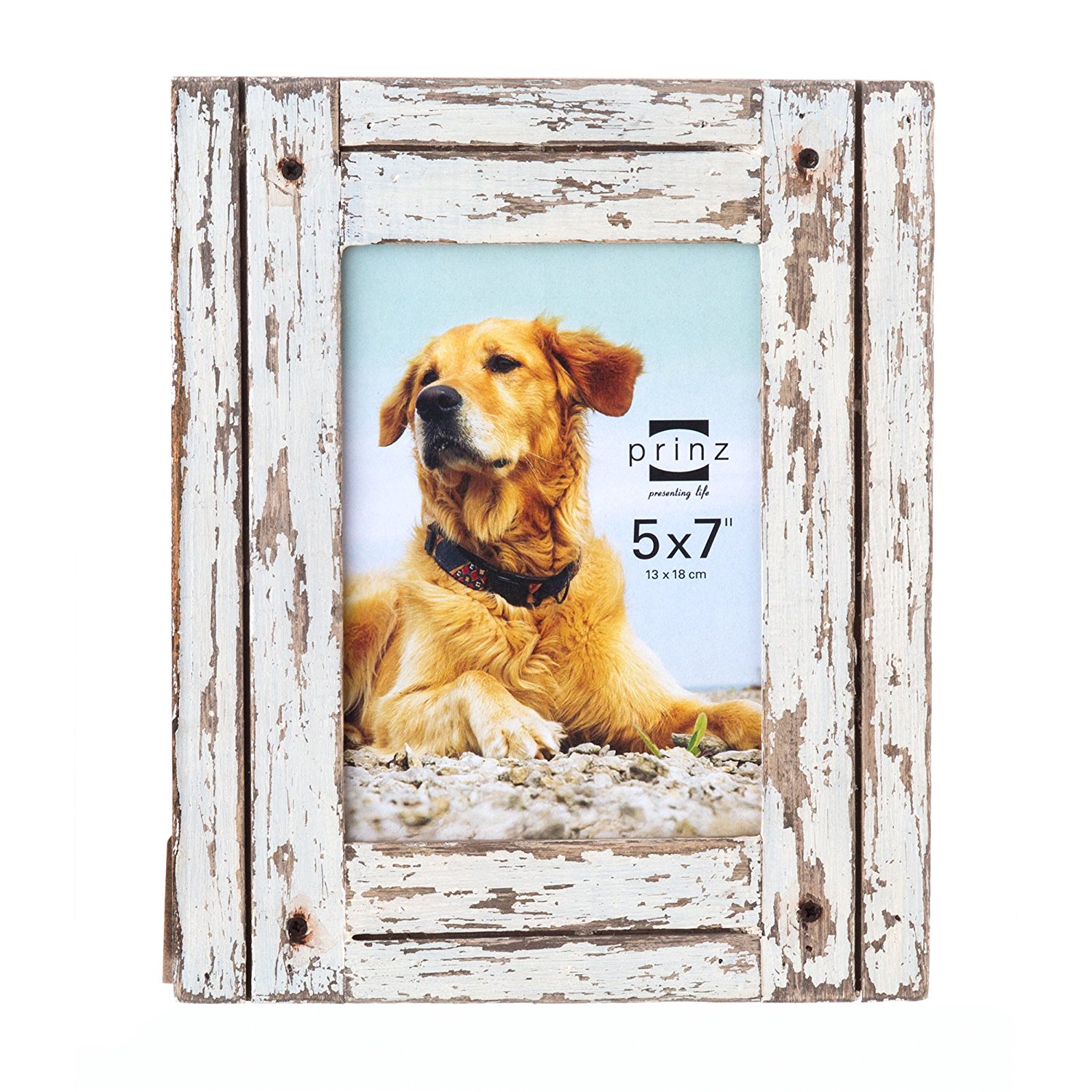 Prinz Homestead Distressed Wood Frame, 5 by 7-Inch, White